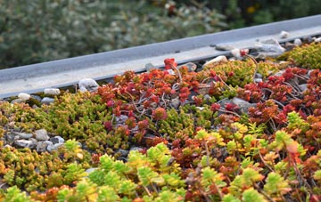 the cost of Roedean green roof installation